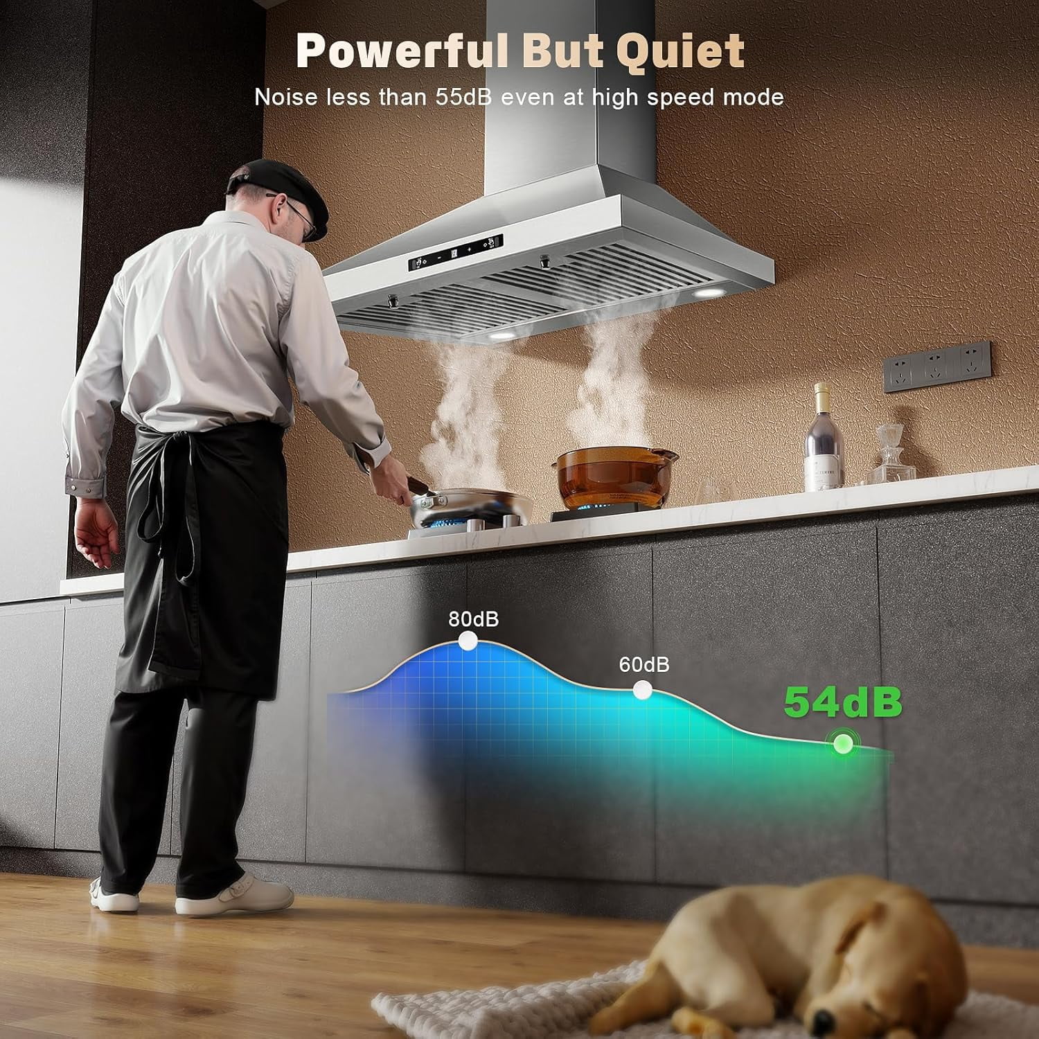 Joeaonz 24-Inch Wall Mount Range Hood Stainless Steel with Filters, 450 CFM, 120V, Touch Gesture Control, 3-Speed
