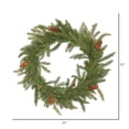 thumbnail image 2 of Vickerman 21" White Spruce Artificial Christmas Wreath Unlit, 2 of 2