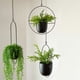 thumbnail image 3 of Cateissary Maceta colgante para flores, cesta de flores de estilo Simple multifuncional, colgador de plantas para el hogar, exterior, interior, Patio, Decoración del hogar Oval Cateissary HA080782-02, 3 of 6