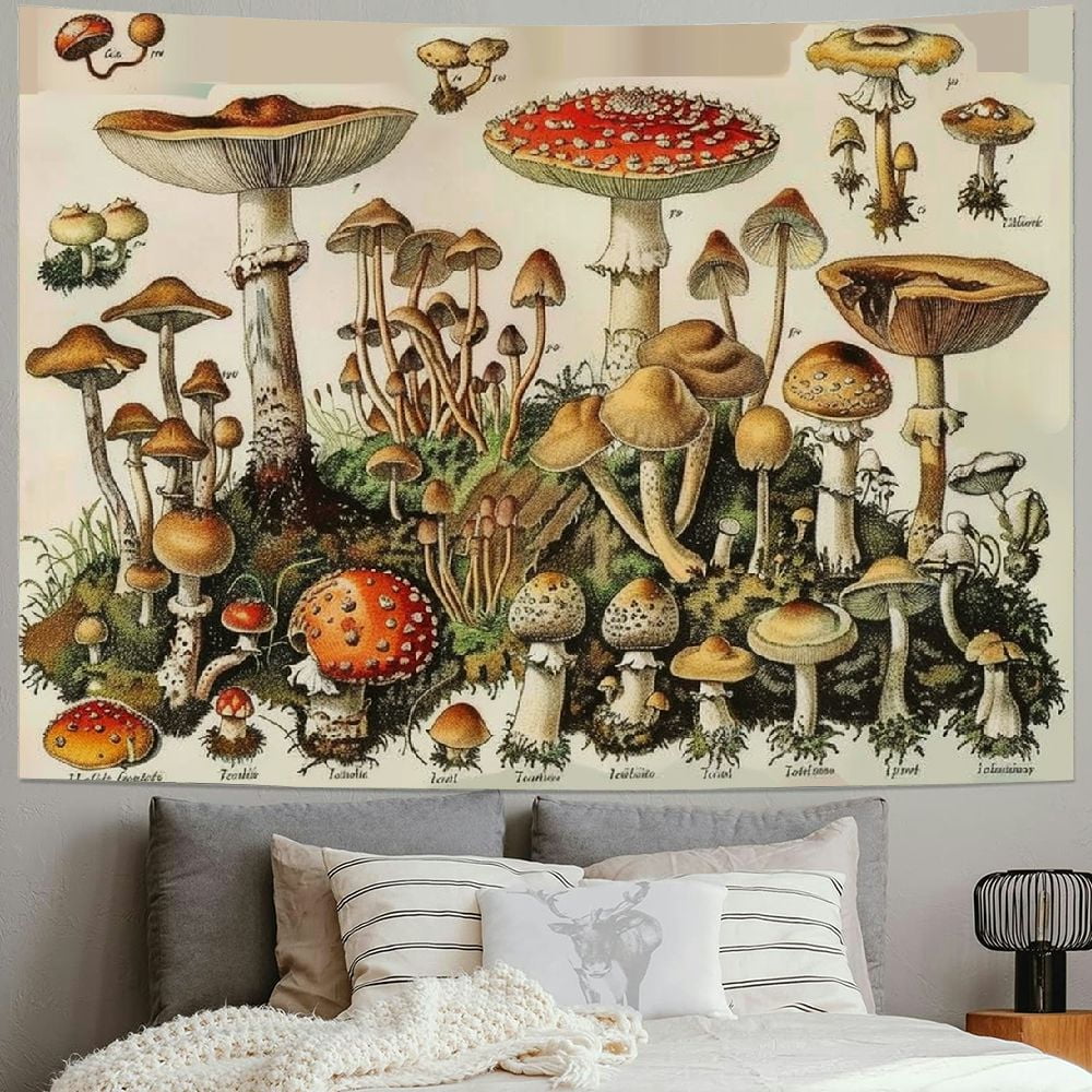洋書 shaped Tapestry Amazon.com: Venetian Lace by Julianna James | Woven Tapestry