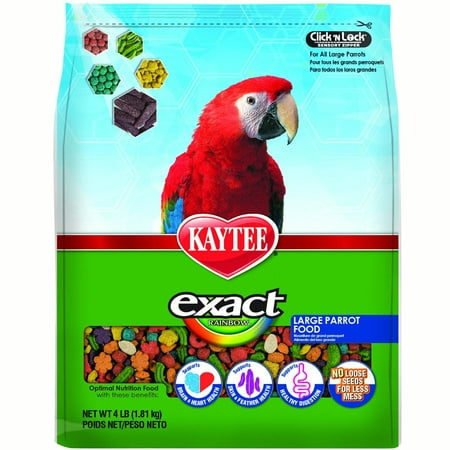 Kaytee Exact Rainbow Large Parrot Food, 4Ib (Best Food For Eclectus Parrot)