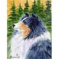 thumbnail image 1 of Carolines Treasures SS8142GF Sheltie Flag - Garden Size, 1 of 3