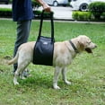 thumbnail image 4 of Pet Safety Care  Assistive Belt For Elderly Disabled And Injured Dogs  For Hind Legs  Buttocks Support Harness, 4 of 6