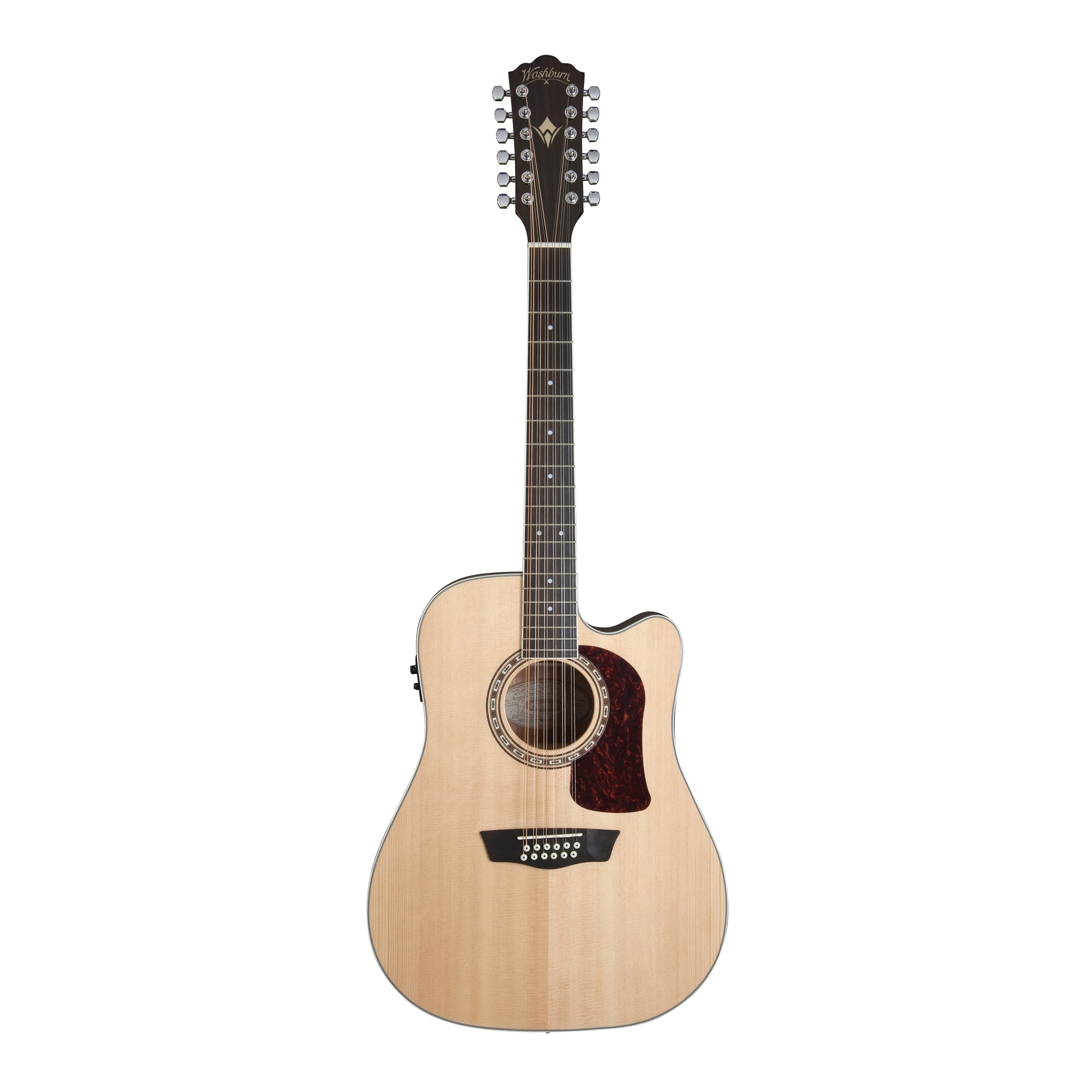 Washburn 2024 12 string
