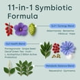 thumbnail image 4 of Bcuelov GLP-1 Probiotics, An 11-in-1 Probiotic Formula Containing Akkermansia and Berberine, Polyphenol Activated, 120 Capsules, 4 of 6
