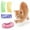 multicolor-Free Size, variant on zhmrfg Interactive Spring Toy for Pets, Mini Rolling Spring Toy, Bouncing and Rolling Entertainment for Cats, Safe Plastic Material for Indoor Use, Easy to Clean and Entertaining for Pet Lovers