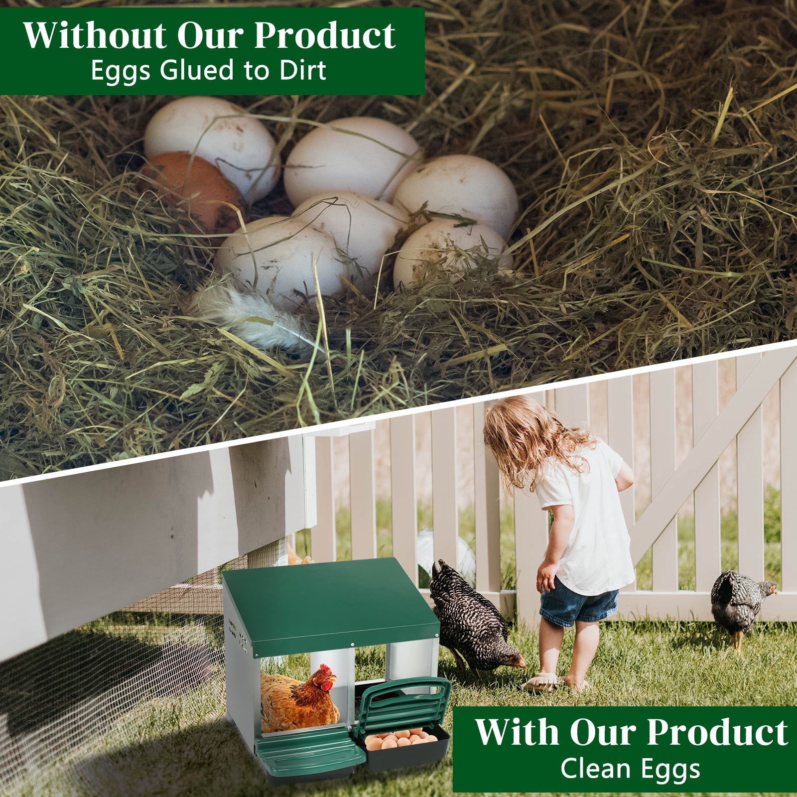 Chicken Nesting Box with Plastic Basket, 2 Compartment Roll Out Egg Nest Box Chicken Laying Box Hens Chicken Coop Box, Green