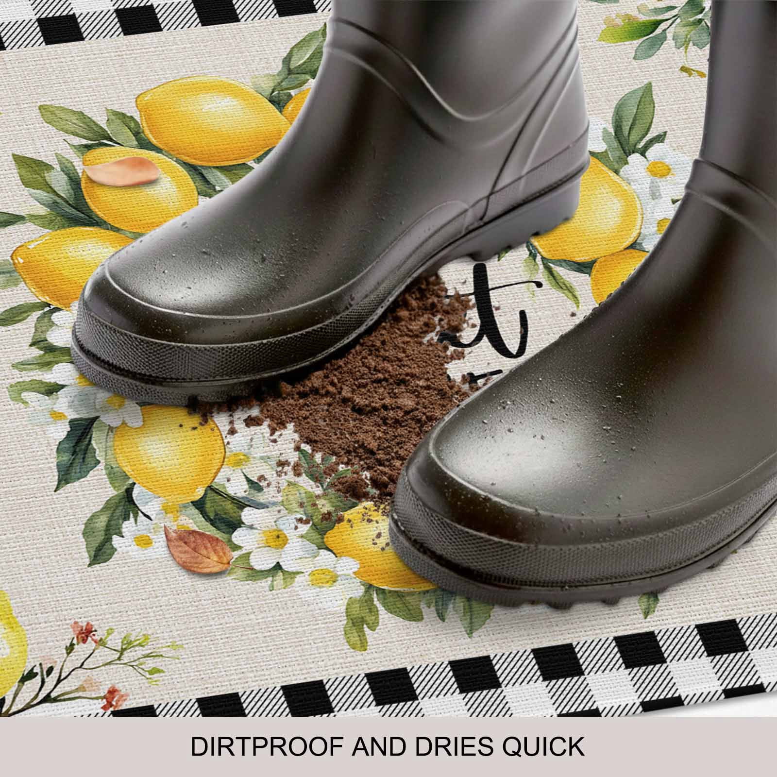 Summer Lemon Doormat Outdoor Entrance 20"x31.5", Farmhouse Black Check Plaid Vintage Absorb Moisture Dirt Door Mats, Non-Slip Rubber Backing Floor Mats Indoor, Low-Profile Front Door Rugs