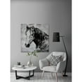 thumbnail image 6 of Marmont Hill California Horse by Irena Orlov Canvas Wall Art, 6 of 7