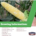 thumbnail image 2 of Harris Seeds - Organic Sweet Corn Seeds Enchanted Variety Bicolor Kernels - 250 Seeds, 2 of 7