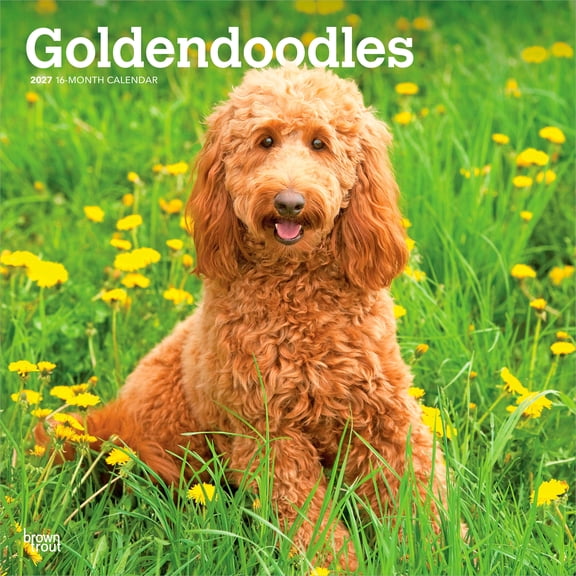 Goldendoodles | 2027 12x24" (Hanging) Wall Calendar | Plastic-Free | BrownTrout