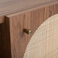 thumbnail image 6 of SAFAVIEH Ophelia Coastal 2 Door 2 Shelf Media Stand, Walnut (46.9 in. W x 15.5 in. D x 21 in. H), 6 of 10