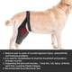 thumbnail image 4 of Rodillera para perro para apoyo con lesión del ligamento cruzado, rodillera ajustable para pierna de perro protege heridas para perros_L, 4 of 5