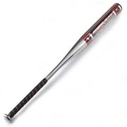Power Flite Softball Bat