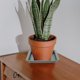 thumbnail image 1 of unbranded 4Ud Para Macetas Planta Base Resistente Evitar Derrames Y Suciedad Color Oscuro, 1 of 7