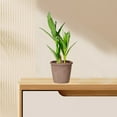 thumbnail image 6 of Artificial Potted Plants Set of 3-Green Plastic Fake Plants for Home Office Decor 17.7",11.8" & 11.8" Tall Realistic Indoor Desk Lobby Decoration, 6 of 6
