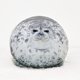 thumbnail image 2 of Almohada de foca enojada con forma de gota, muñeco de león marino 3D rechoncho, juguete de peluche, almohada para dormir para bebés, regalos para niñas y niños, 2 of 5