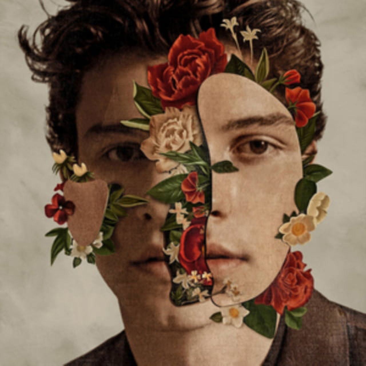 Shawn Mendes - Handwritten - Music & Performance - CD - Walmart.com