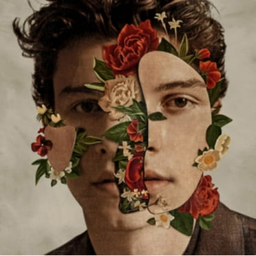 SHAWN MENDES THE ALBUM