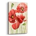 thumbnail image 2 of Epic Art 'Poised Poppy I' by Grace Popp, Acrylic Glass Wall Art, 12"x16", 2 of 8