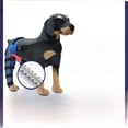 thumbnail image 3 of Suministros para mascotas Cuidados de rehabilitación Protector de patas para perros Funda protectora contra lesiones quirúrgicas para perros pequeños y medianos, 3 of 4