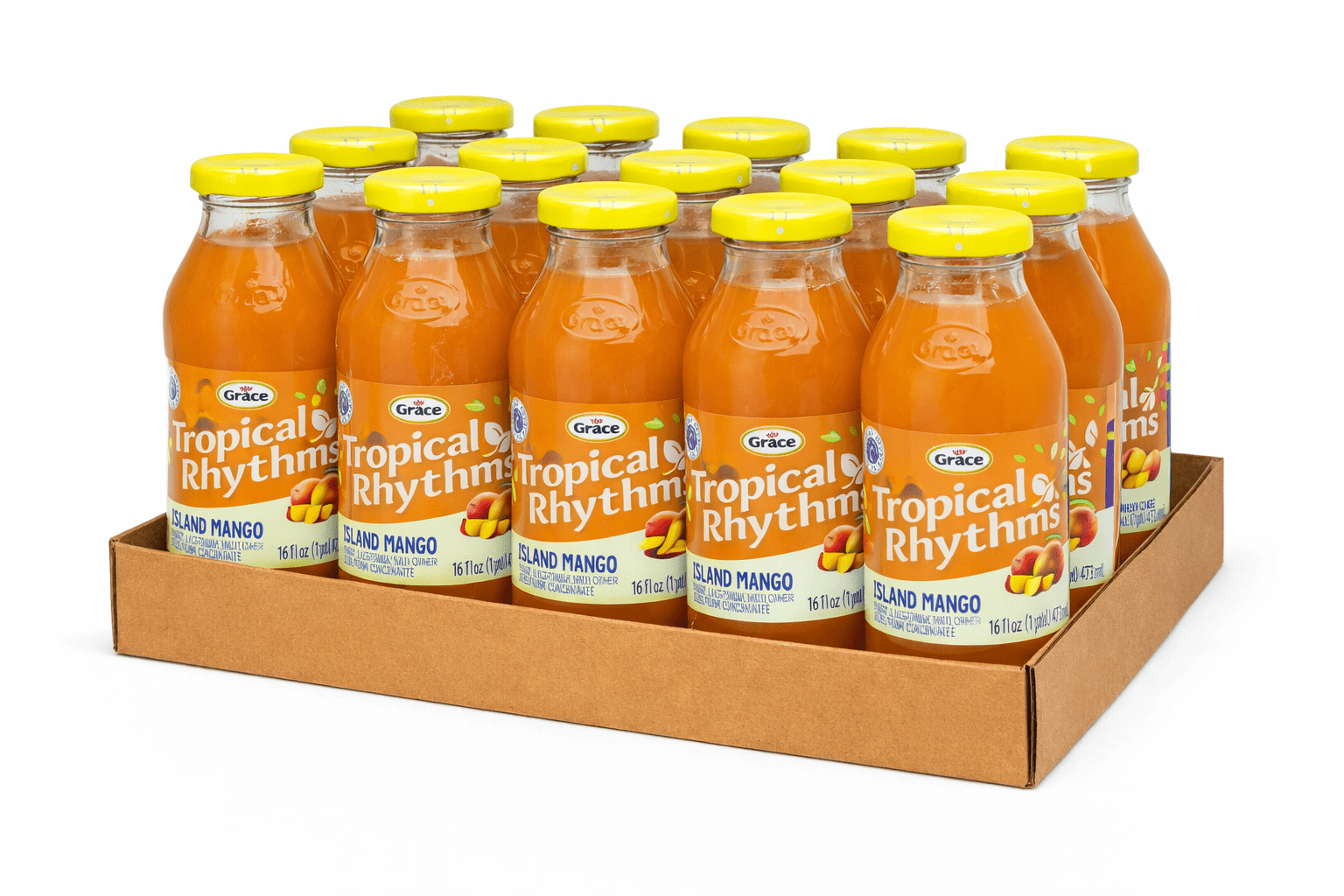 Pack of 24 Latin Fusion Passion Fruit Drink 16.9 fl oz - Walmart.com