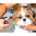 thumbnail image 2 of Set de tijeras para peluquería de mascotas Pets First de acero inoxidable, 2 piezas, 2 of 6