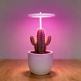 thumbnail image 6 of USB LED Ring Grow Light 3.5 Inch 3 Modes 5 Brightness Timer Full Spectrum Plant Lamp for Indoor Succulents Herbs Desk Shelf, 6 of 6