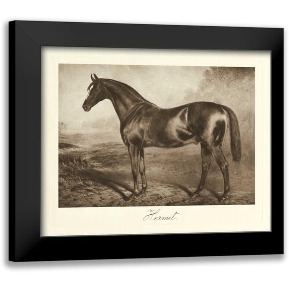 Hailey, Clarence 14x12 Black Modern Framed Museum Art Print Titled - Hermit