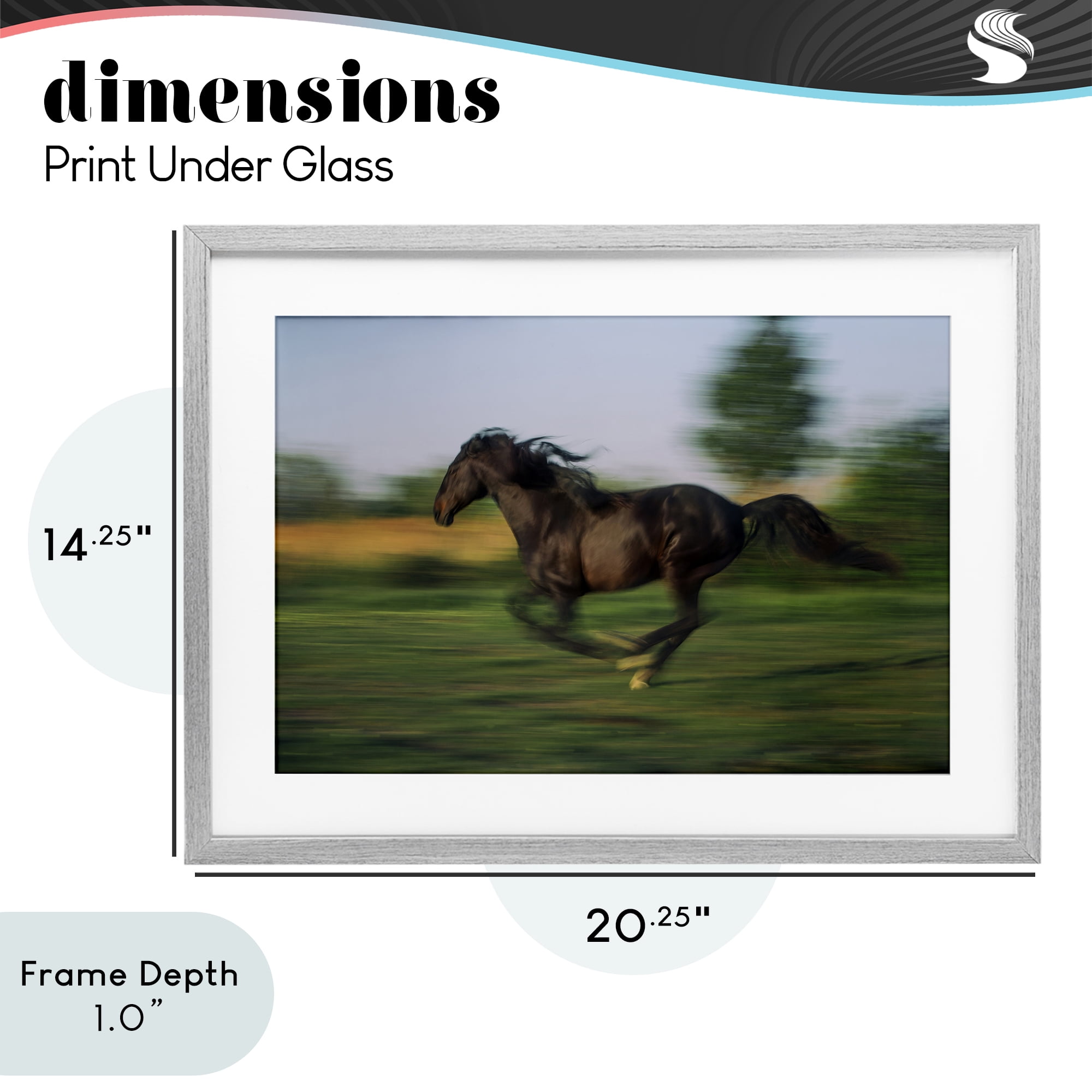 Stupell Industries Dashing Camargue Racehorse Gray Framed Print Under Glass, design by Scott Stulberg