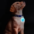 thumbnail image 2 of Rechargeable LED ClipOn Light for Dogs, MultiColor Safe Night Walking USB, IPX8 Outdoor Pet Safety Ad Blue, 2 of 5