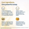 thumbnail image 4 of Metagenics StayStrong+ Brain & Body Powder - Creatine Monohydrate & Collagen Powder Blend with Verisol - Cellular Energy, Brain Health & Muscle Support - Watermelon Raspberry Drink Mix - 30 Servings, 4 of 7