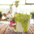 thumbnail image 4 of Mini s De Resina Con Conejo, 2 Uds., Contenedor Con Orificio De Zulema Contenedor suculento, 4 of 8