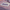Mauve, variant on Avia Toddler Retro Air Bubble Sneakers