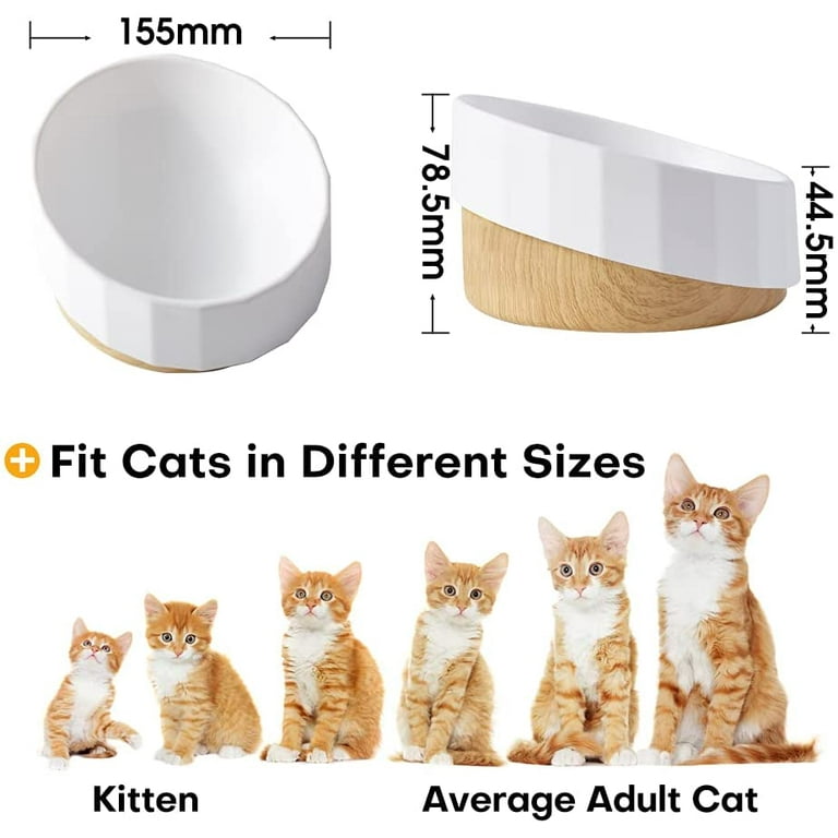 15°Elevated Cat Food Bowls with Silicone Pet Mat, Double Raised Cat  Transparent Plastic Bowl with Stand, Stress-Free Suit for Cats and Small  Dogs, Anti Vomiting cat Bowl, Cute Cat Face Bowl 