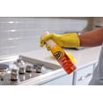 thumbnail image 3 of Degreaser and Cleaner Mist Zep Heavy Duty Citrus 480mL, 3 of 7