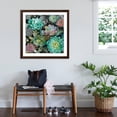 thumbnail image 3 of Art.com Floral Succulents v2 Crop Art Print by Danhui Nai, Brown Frame Wall Art, 38" x 38", 3 of 5