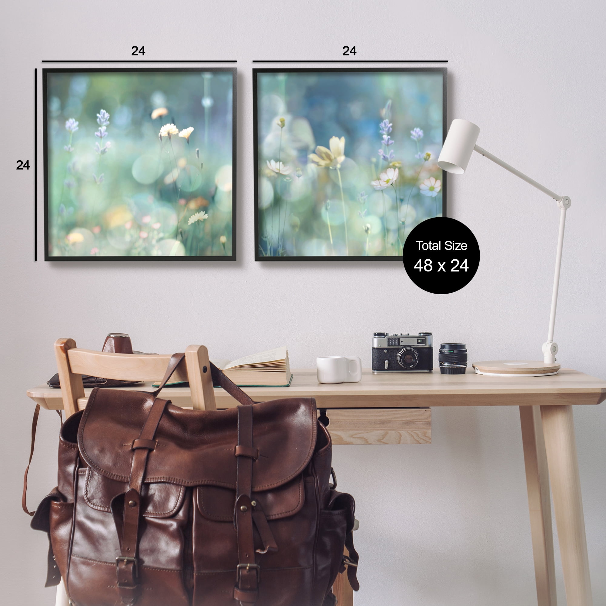 Stupell Industries Sunlit Daisy Field Botanical & Floral Photography Black Framed Art Print Wall Art, 24 x 24
