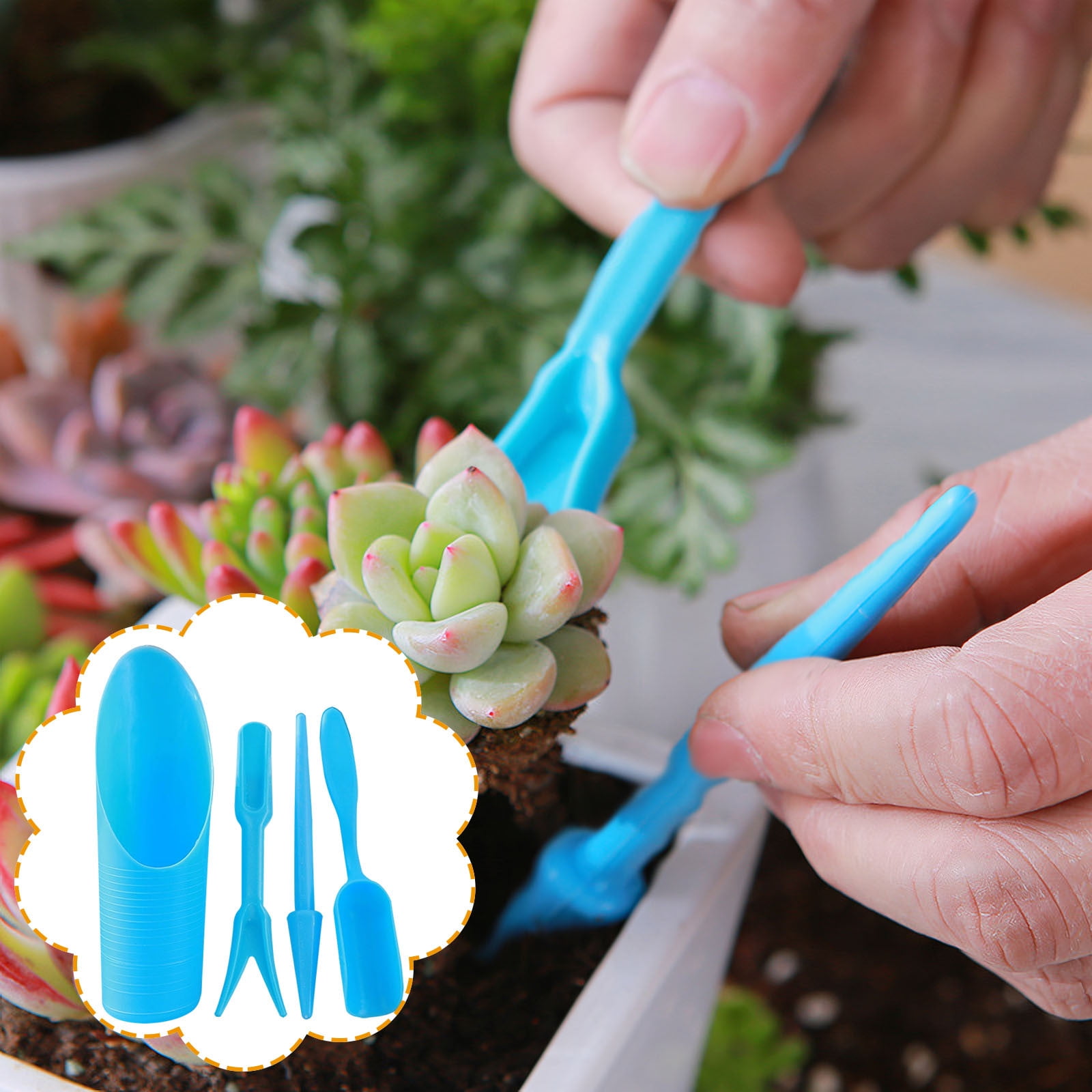 Ensemble D'outils Pour Succulentes Et Cactus - 5 Pièces Miniatures : Pelle, Transplantoir, Grattoir... - Pour Jardinage Intérieur Et Extérieur