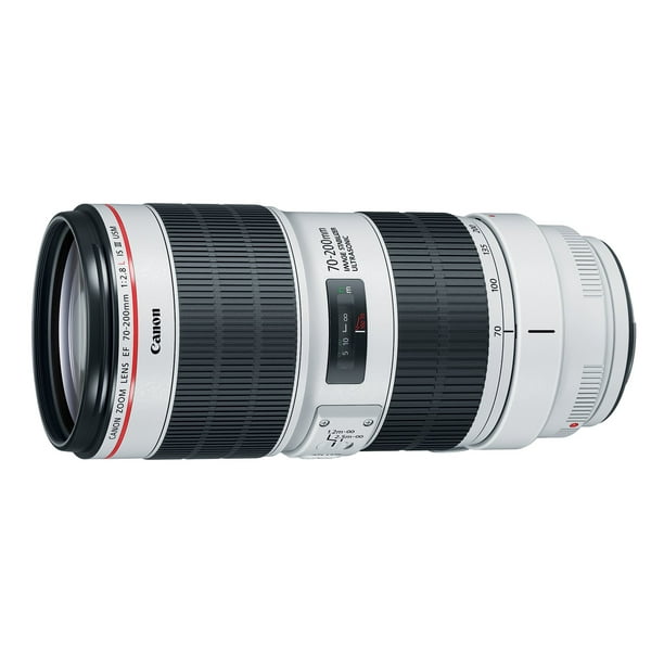 Canon EF 70-200mm F/2.8L IS III USM Lens - Walmart.ca