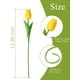 thumbnail image 3 of 12pcs - Flor de simulación de tulipán - Amarillo Ofspeizc CZJJ-HQ29-3, 3 of 6
