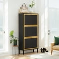 thumbnail image 2 of Metal Shoe Storage Cabinet with 3 Door, Freestanding Modern Shoe Storage Cabinet, Metal Rattan Shoe Rack, Black 3-Tier Shoe Cabinet for Entryway, Hallway, Living Room, Bedroom (Black), 2 of 8