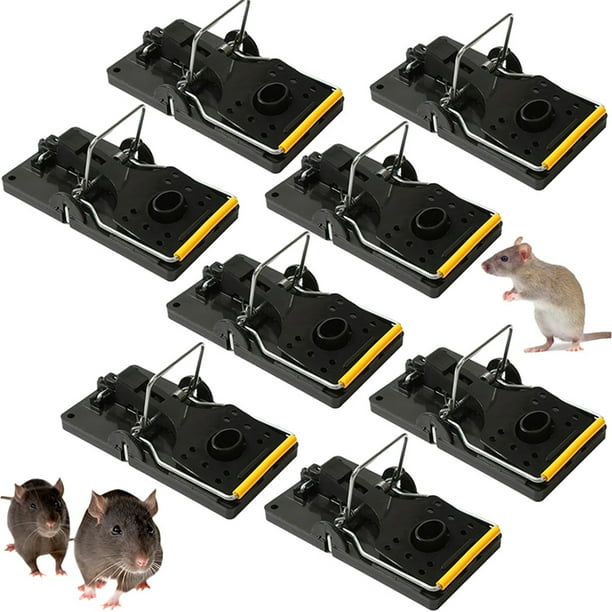 Elbourn 8-Pack Mouse Traps, Small Mice Traps Indoor for House, Quick ...