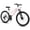 White, variant on 24 inch Women Mountain Bike, 21 Speeds Mountain Bicycle with Steel Frame, Dual Disc Brakes and 100mm Front Suspension, MTB Bike for Urban Trail Snow Commuter, White