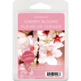 thumbnail image 1 of ScentSationals Scented Wax Cubes Value Pack - Cherry Blooms, 1 of 4