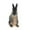 rabbit, variant on segolike 1x Realistic Animal Model Plastic Farm Animals Figures Learn Cognitive Toy goat
