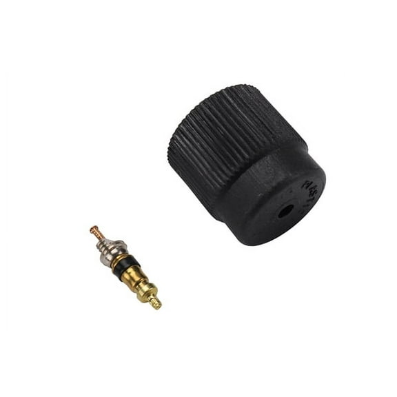 GM Genuine Parts A/C Service Valve