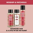 thumbnail image 3 of Love Beauty And Planet Full and Fabulous Extend Dry Shampoo Rosehip & Patchouli 4.3 oz, 3 of 11