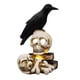 thumbnail image 3 of Xihbxyly Farol de Calavera de Halloween, Diseño de Cuervo con Luz Led, Patrón Hueco Multifacético, Decoración Espeluznante para El Hogar, Ideal para Porche o Patio, Ideal para Fiestas, Tamaño 7 X 4,7, 3 of 7