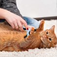 thumbnail image 5 of Pet Grooming Brush Dematting Comb Dog Deshedder Dog Cat Brush Removing Loose Hair, 5 of 5